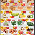 spar 4 a 16 maio-2.jpg